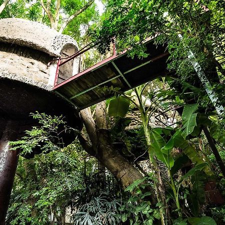 Dao Anh Khanh Tree House Hanoi Exterior photo