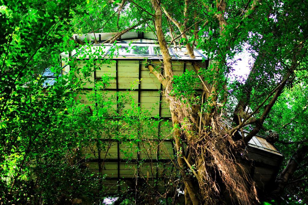 Dao Anh Khanh Tree House Hanoi Room photo