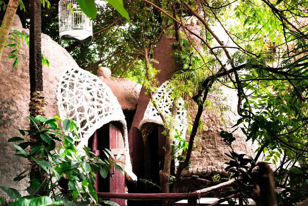 Dao Anh Khanh Tree House Hanoi Exterior photo