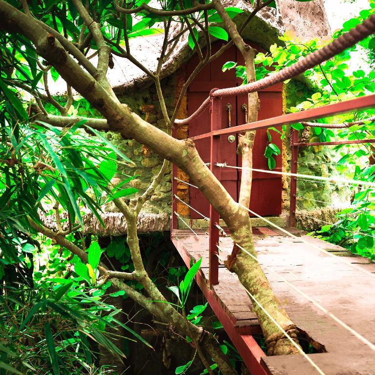Dao Anh Khanh Tree House Hanoi Exterior photo