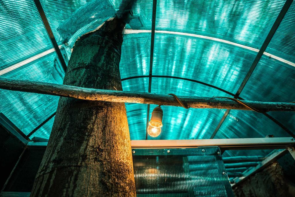 Dao Anh Khanh Tree House Hanoi Exterior photo