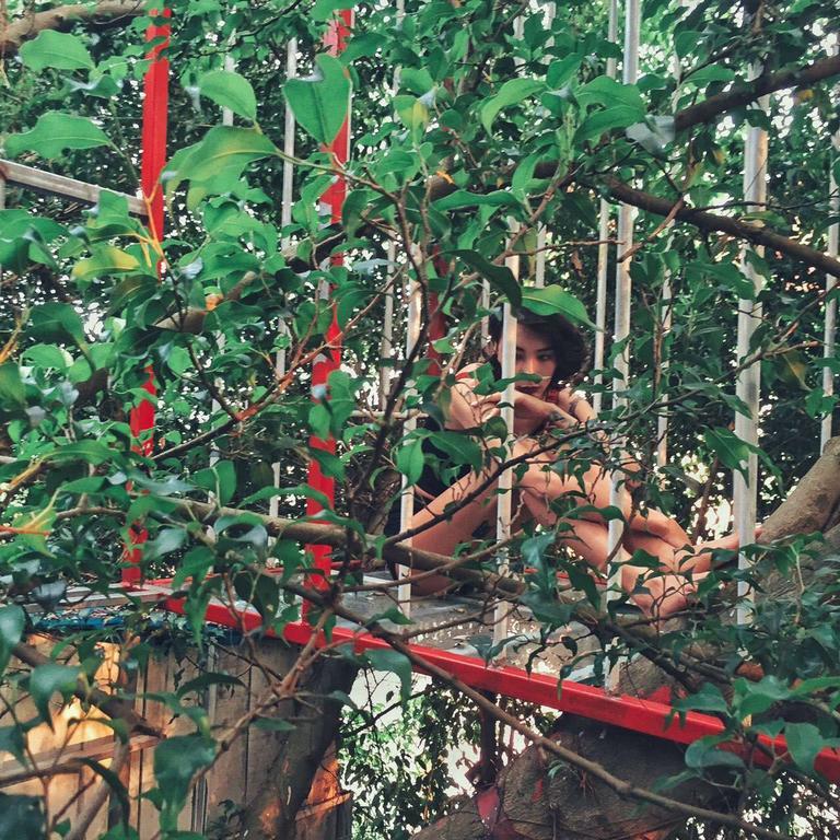 Dao Anh Khanh Tree House Hanoi Exterior photo