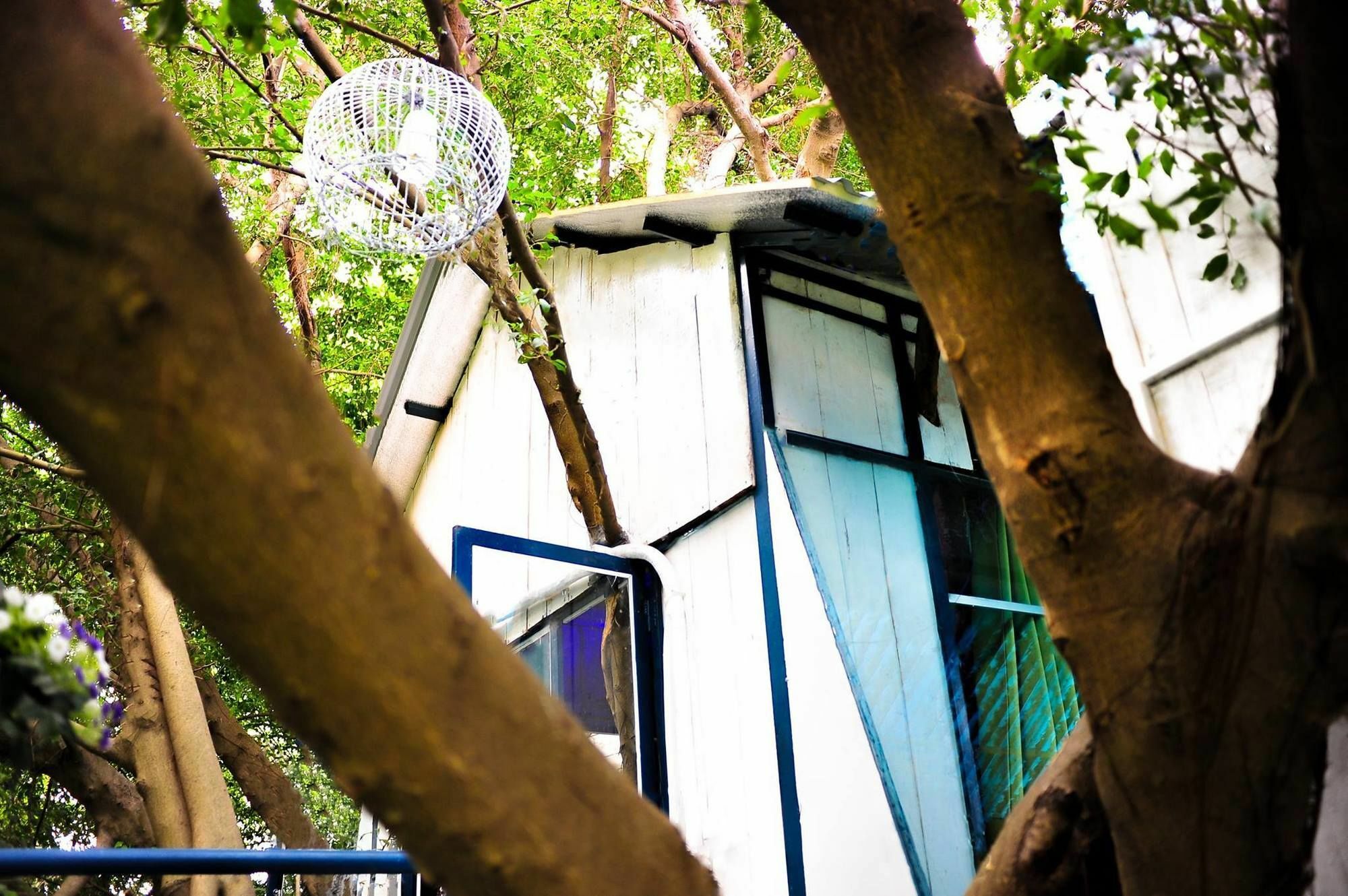 Dao Anh Khanh Tree House Hanoi Exterior photo