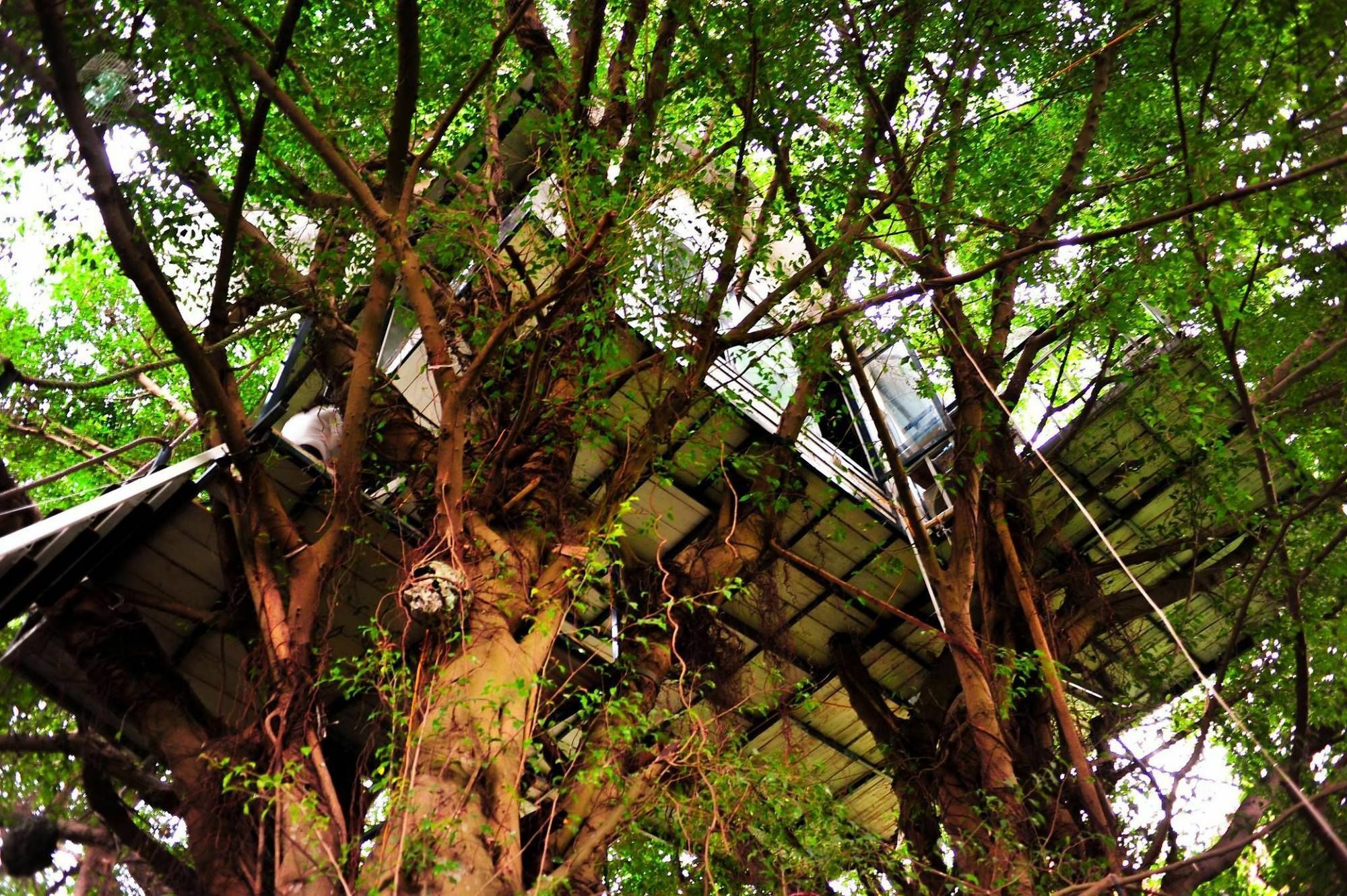 Dao Anh Khanh Tree House Hanoi Exterior photo