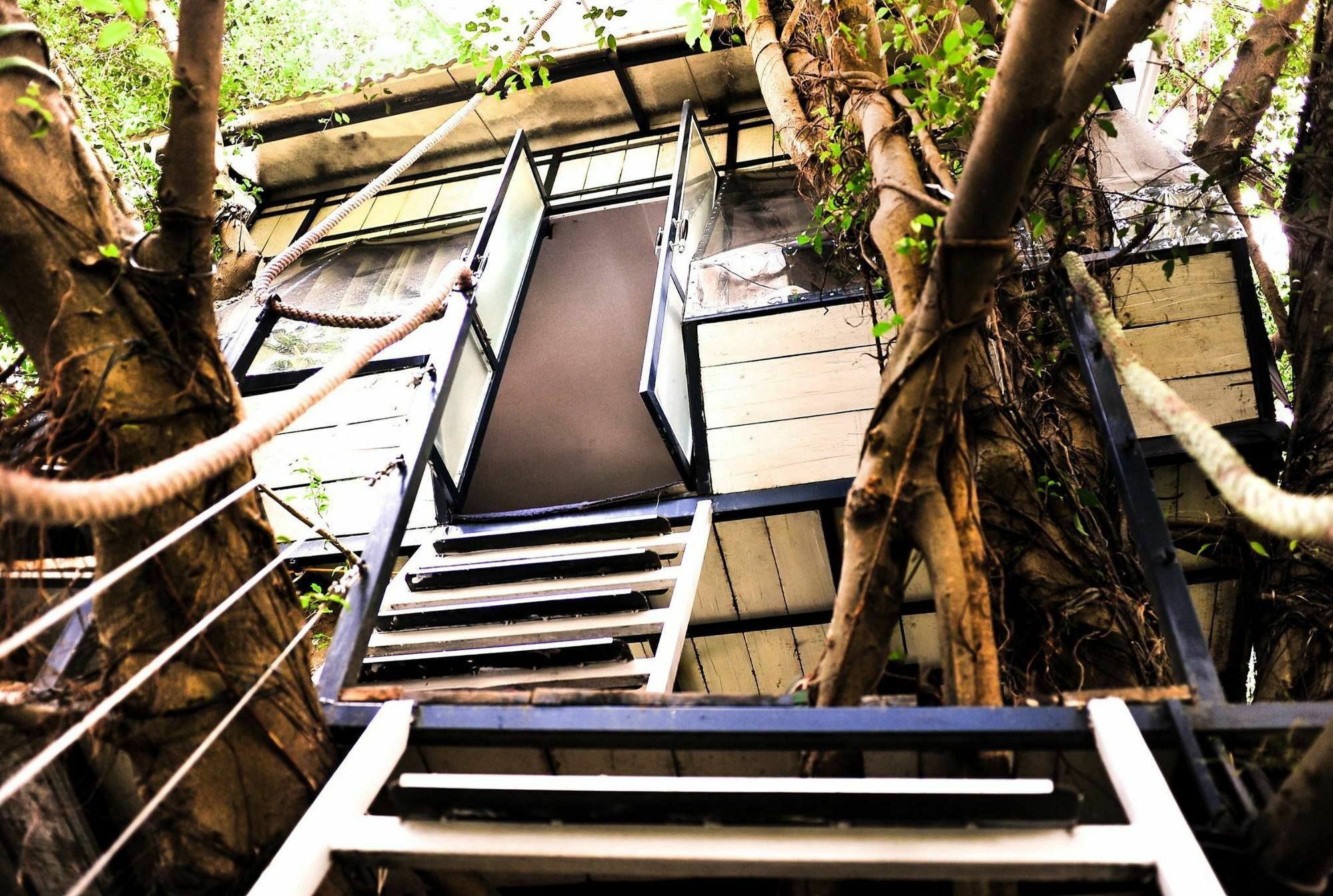Dao Anh Khanh Tree House Hanoi Exterior photo